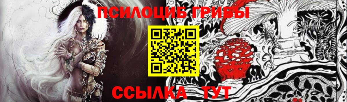 Красноуфимск  Галлюциногенные грибы прущие грибы  Псилоцибиновые грибы прущие грибы  что такое   Вход с VPN 