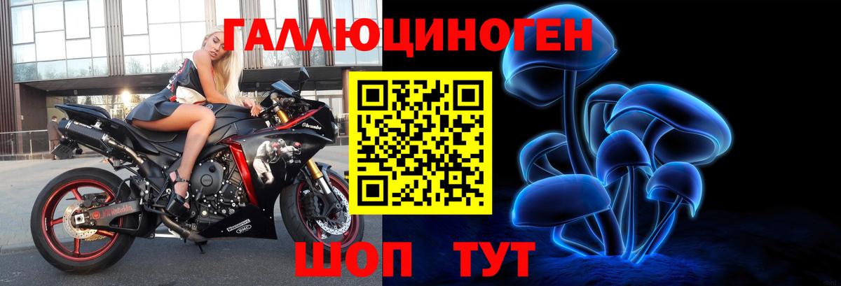 Галлюциногенные грибы Psilocybine cubensis Красноуфимск